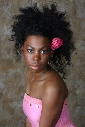 african american natural hairstyles. The Natural Hairstyle Gallery