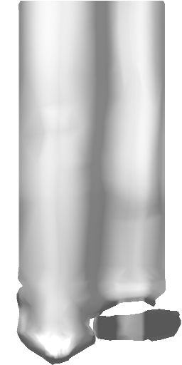  photo MIS_VN17_Heels2_Stocking_Overlay_zpskdf7aw9y.jpg