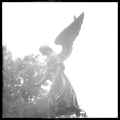 Uploaded from the Photobucket iPhone App