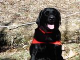 Libby.jpg Libby image by SARK9