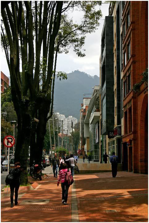 62_ZonaRosadistrict.jpg
