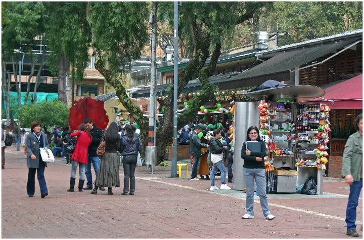 64_PedestrianStreetinZonaRosadistrict.jpg