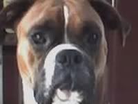 Titan