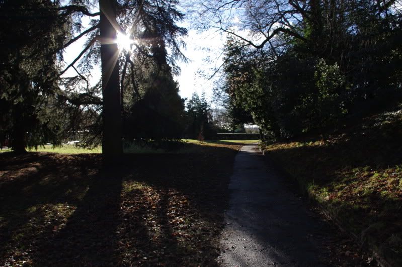 IMGP0133.jpg