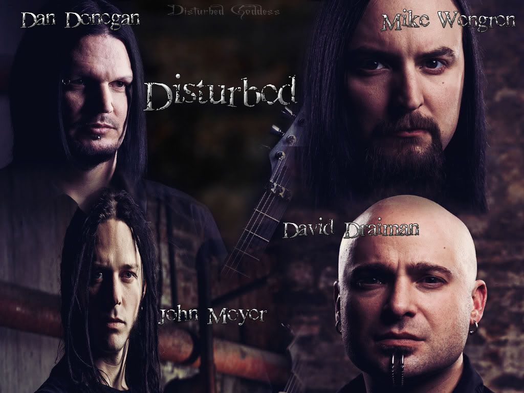 Videos Disturbed Videos Disturbed