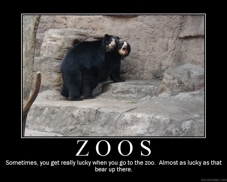 zoodespair.jpg