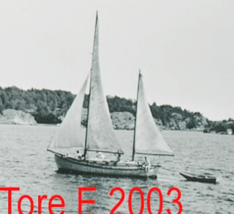 hvalen.jpg