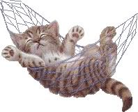 catswing.jpg