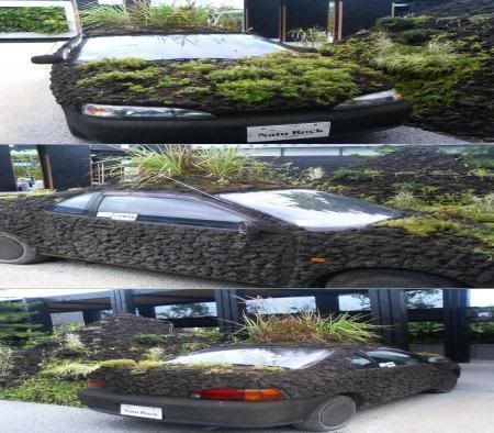 gardencar.jpg