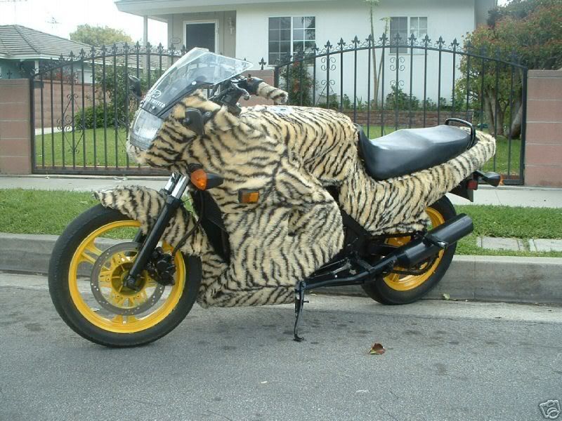 leopard_bike.jpg