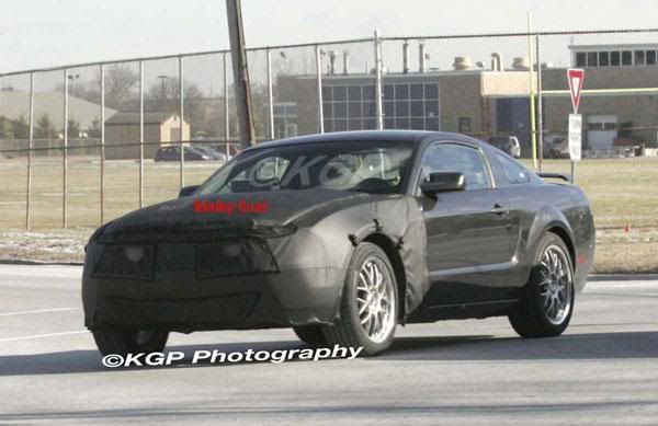 mustang-face-22009.jpg