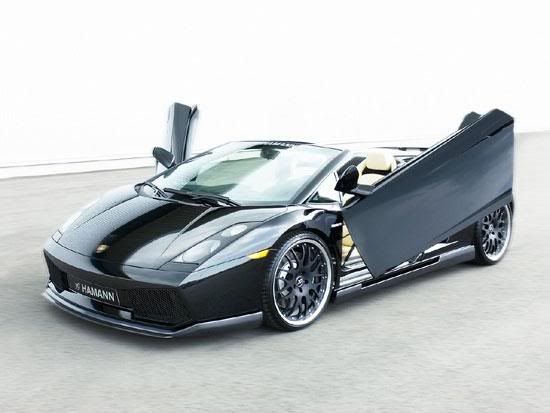 gallardo1.jpg