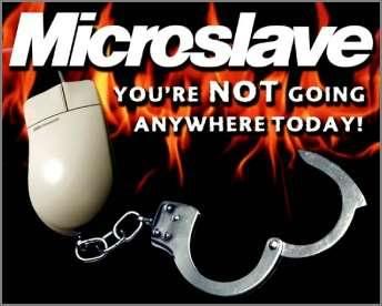 microslave.jpg