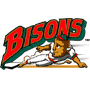 Buffalo Bisons