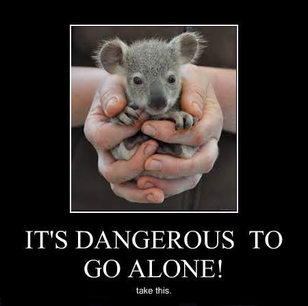 photo its dangerous to go alone 003_zpsmqtfi55spng