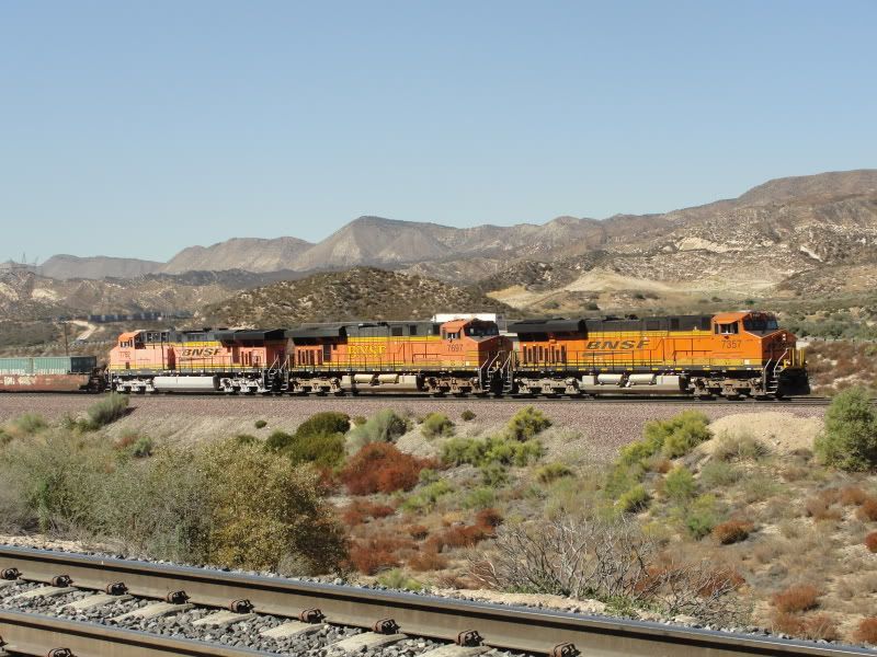 IPB Image