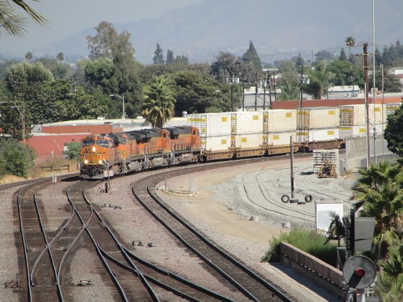 IPB Image