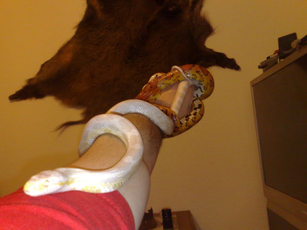 231120091185.jpg