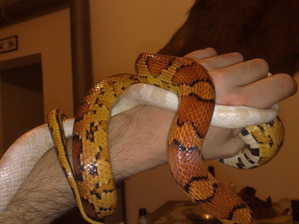 231120091190.jpg