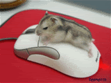 image: mousehump