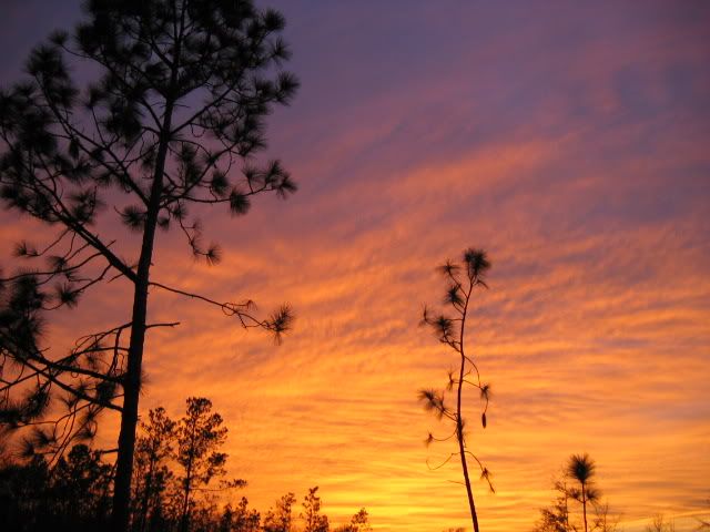alabama sunset Pictures, Images and Photos