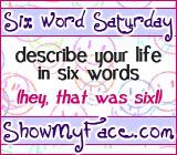 six word Saturday