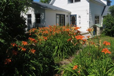 daylilies photo 2016-07-24 daylilies 2 400_zpss6aofcbp.jpg