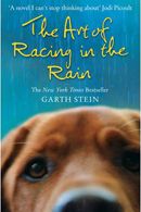 The Art of Racing in the Rain by Garth Stein photo art of racing in the rain_zpsitleltjb.jpg