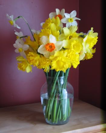 Daffodils,flowers,bouquet,garden