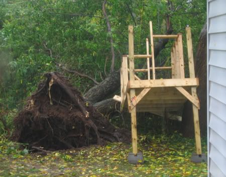 treehouse down