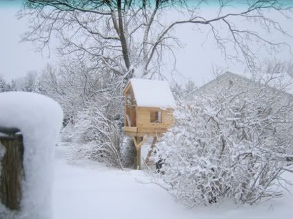 snow on the treehouse 18Feb12