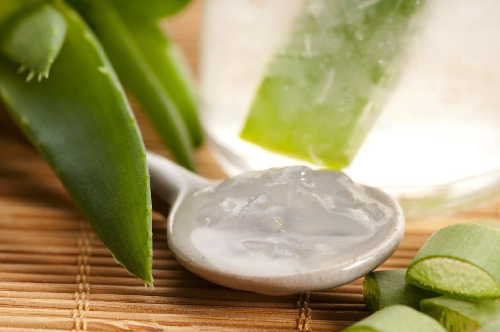 Cara Membuat Masker Lidah Buaya