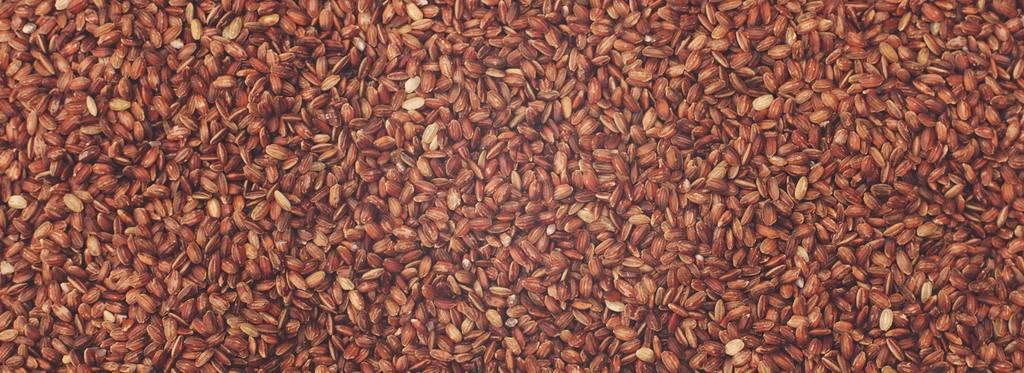 DIet Golongan Darah O Baik Mengkonsumsi Nasi Merah Sebagai Cara Menurunkan Berat Badan