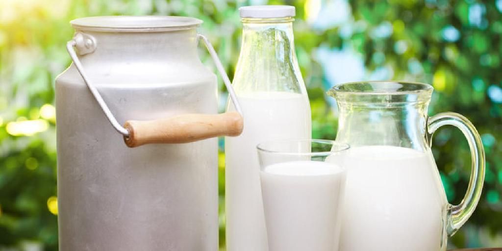 Diet Golongan Darah O Sebaiknya Tidak Terlalu Banyak Mengkonsumsi Susu