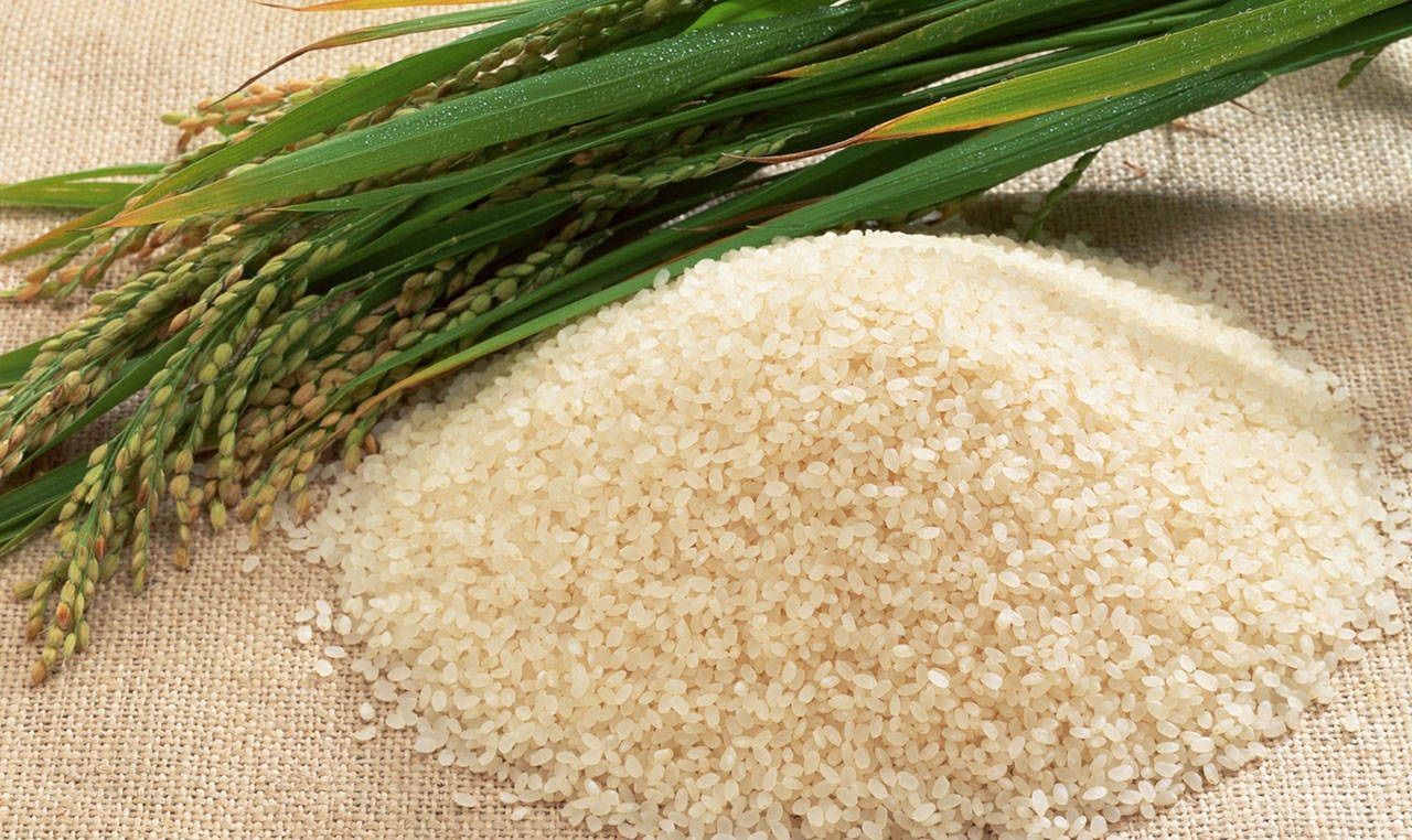 Merawat Kecantikan Kulit Wajah Dan Tubuh Dapat Menggunakan Masker Beras