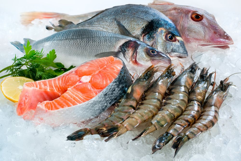 Orang Bergolongan Darah O Sebaiknya Banyak Mengkonsumsi Ikan Dan Makanan Tinggi Protein