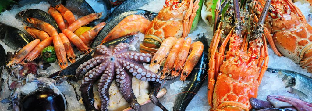Orang Dengan Golongan Darah O Disarankan Mengkonsumsi Banyak Protein Dari Seafood