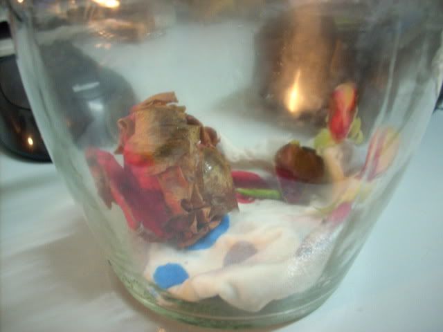 DSCN3177.jpg