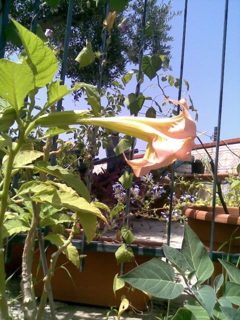 Fotografia484.jpg