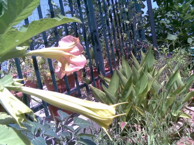 Fotografia486.jpg