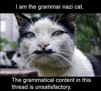 LOLcat_-_Grammar_Nazi_Cat.jpg