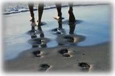 footsteps on the beach Pictures, Images and Photos