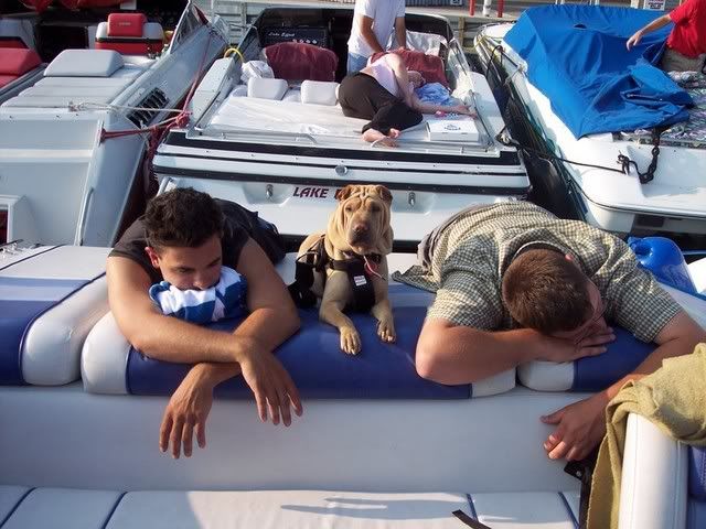 100_0350.jpg