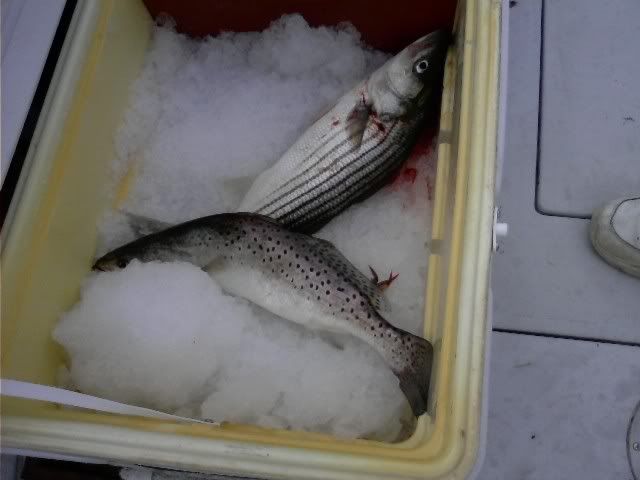 0930081031.jpg