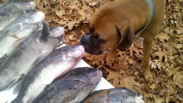 161087702_photobucket_11071_.jpg