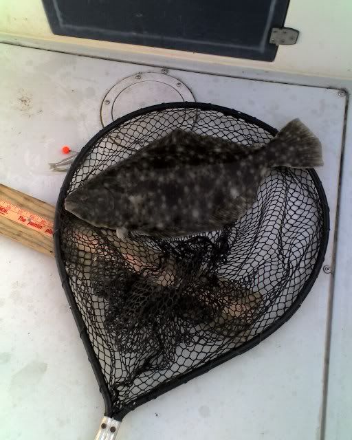4-22Floundertrip001-1.jpg