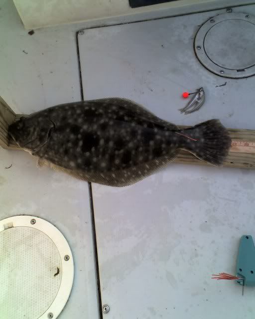 4-22Floundertrip002-1.jpg