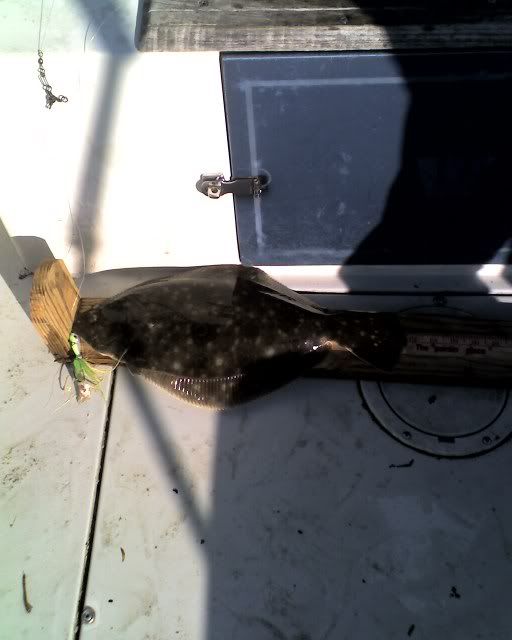 4-22Floundertrip002.jpg