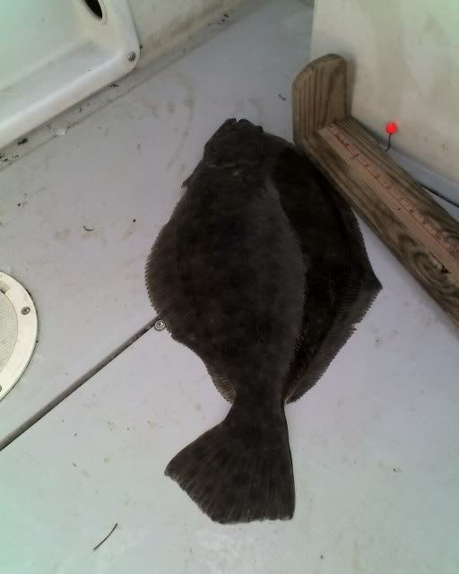 4-22Floundertrip004.jpg