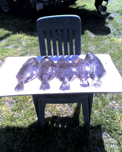 4-22Floundertrip006.jpg